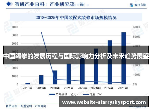 中国踢拳的发展历程与国际影响力分析及未来趋势展望
