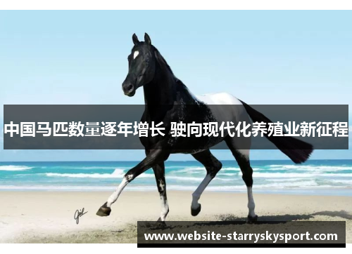 中国马匹数量逐年增长 驶向现代化养殖业新征程